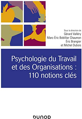 Psychologie du Travail et des Organisations : 110 notions clés- 2e éd.