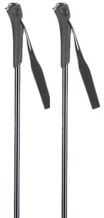 Rossignol Langlaufstöcke Ft-501 Grau Kinder – Größe 80 – Grau