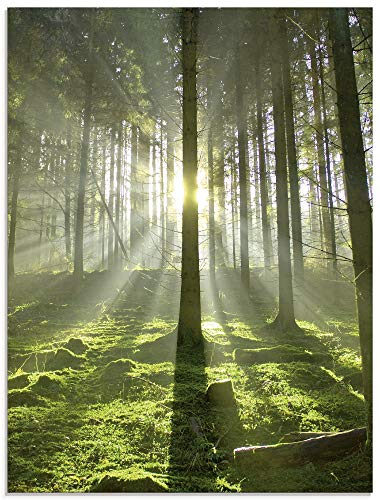 ARTland Wanddeko Glasbilder Wandbild Glas Bild einteilig 60x80 cm Hochformat Natur Wald Landschaft Sonne Bäume Moos Frühling Landhaus T5SV ARTland