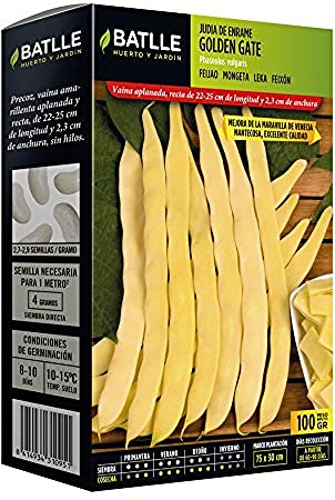 Judia Maravilla Golden Gate