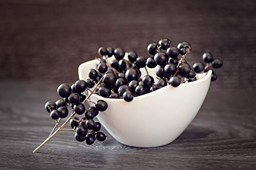 Home Comforts Berries Close Dark Blue Privet Bowl Privet-berries-20 Inch By 30 Inch Laminated Poster With Bright Colors And Vivid Imagery-Fits Perfectly In Many Attractive Frames