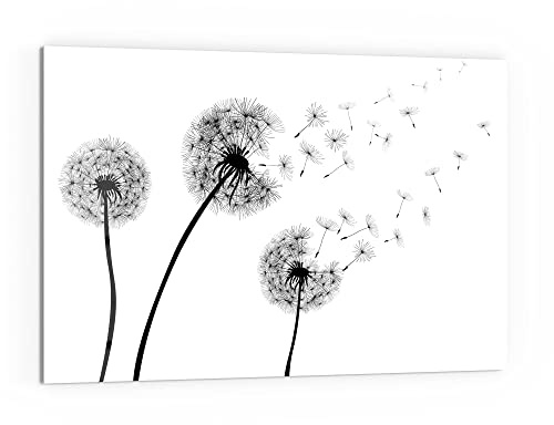 DEQORI Küchenrückwand Glas | Motiv Schwarze Pusteblumen | 60x40 cm | Bad- oder Herd-Rückwand | Herdblende Spritzschutz für Küche & Badezimmer | moderne Deko für Fliesenspiegel