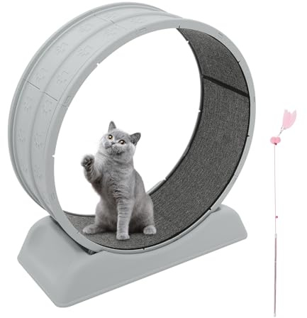 Ruota per gatti 80cm – Grande ruotas per gatti da appartamento, robusta ruota fitness con fibbia di sicurezza, tappeto e canna da pesca giocattolo – Per tutti i gatti fino a 10kg (Grigio)