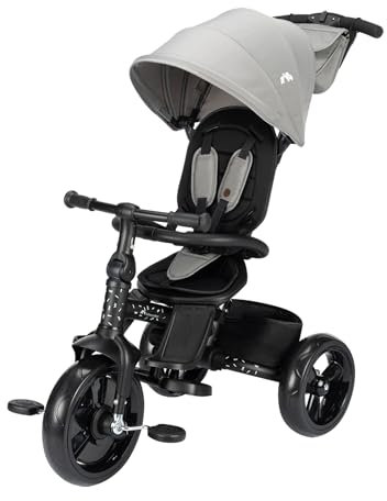 Bebeconfort Windy, Baby Trike with Parent Handle, 10 Months - 4 Years, 0-25 Kg, Adjustable to Child, Comfortable and Reversible Seat, Protective Canopy, Compact Fold, Toddler Bike, Tinted Grey