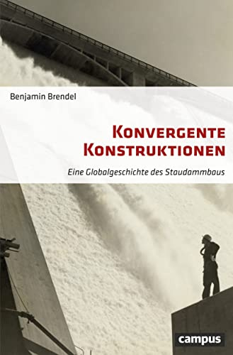 Konvergente Konstruktionen: Eine Globalgeschichte des Staudammbaus
