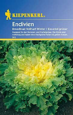 Kiepenkerl Endivien Breedblad