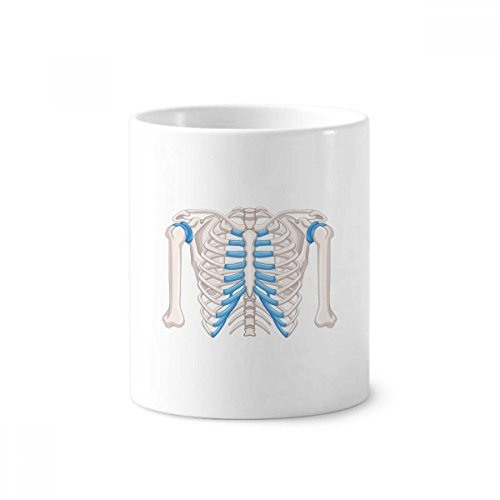 Rib Thoracic Lucky Illustration Toothbrush Pen Holder Mug Ceramic Stand Pencil Cup