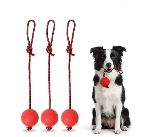 AUFIKR 3-pack hundbollar oförstörbara, boll med snöre hund, kasta boll för hundar, gummiboll hund – robust leksak för små hundar (röd)