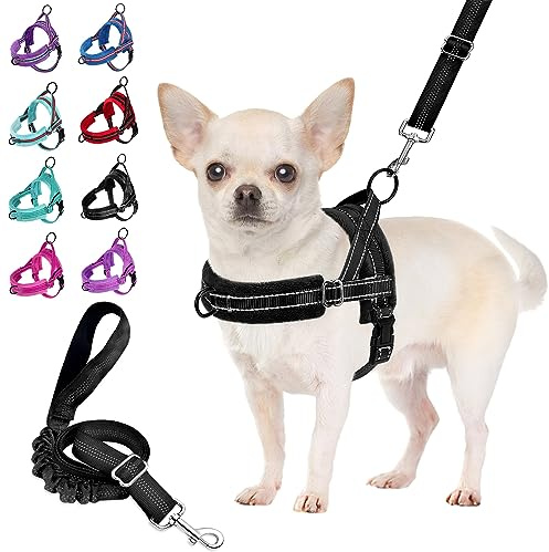 Eyein Small Dog Harness and Lead Set, No Pull Soft Vest with Front Clip