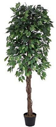 Ficus Benjamini med multi naturstam, 1 548 blad, 180 cm hög, konstgjord ficusträd, björkfikon, handgjord
