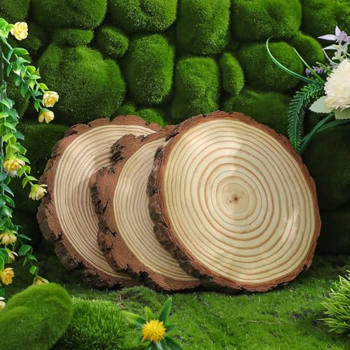 SUPVOX 3 piezas Piedras de Paso de Madera Duradera para Jardín Exterior Tableros Redondos Grosor para Senderos y Decoración de Césped