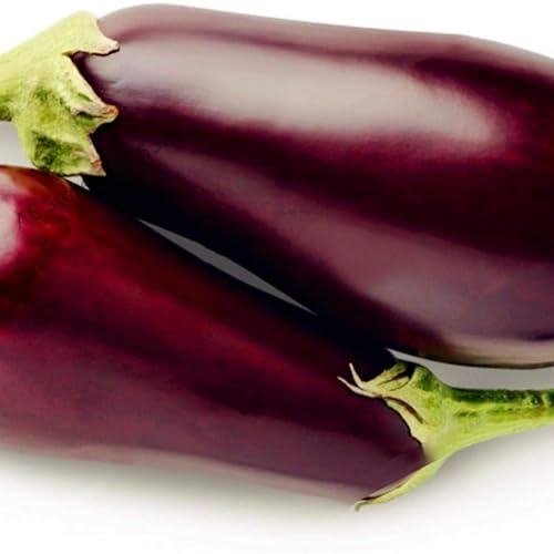 Luojuny Auberginensamen, 200 Stück Imperial Auberginensamen, nahrhafte Gemüsegarten-Hinterhofbepflanzung Auberginensamen