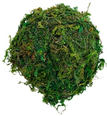 BESPORTBLE 2 Stück Box Reptilienversteck Gecko Verstecke Und Höhlen Schildkrötenzucht Unterschlupf Schildkröten Terrarium Ornament Hamsterversteck Höhle Bartagamen Felshöhle