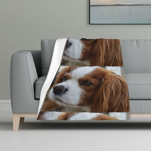 InOmak Cavalier King Charles Spaniel carino,Coperta calda in flanella anti-pilling, morbida e soffice, 81 x 122 cm