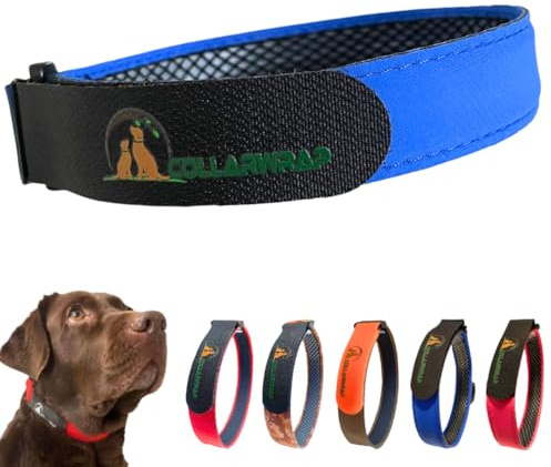 Custodia per collare antiparassitario per cani adatta a tutti i collari antiparassitari per cani - antipulci per cani piccoli e grandi - collare antiparassitario per cane interno (blu, L: da 40 a 45