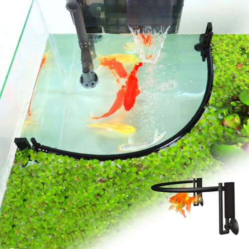 HyzaPhix Corral flotante para acuario, anillo flotante redondo para plantas, anillo de alimentación para peceras con altura ajustable, para accesorios de acuarios enmarcados y sin marco (B)