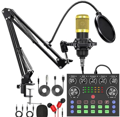 Buhdjfnke Scheda Audio V8S Live con Set Microfono per DJ Disco Dispositivo Musica/Registrazione Streaming Live Attrezzatura Podcast Bundle