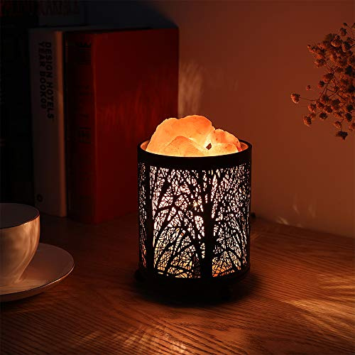 Zanflare Salt Lamp, Pink Salt Lamp, Salt Rock Lamp, Night Light in Fawn Design Metal Basket with Dimmer Switch, Himalayan Salt Lamp, House Warming, Wedding Gifts, Birthday Gifts for Women