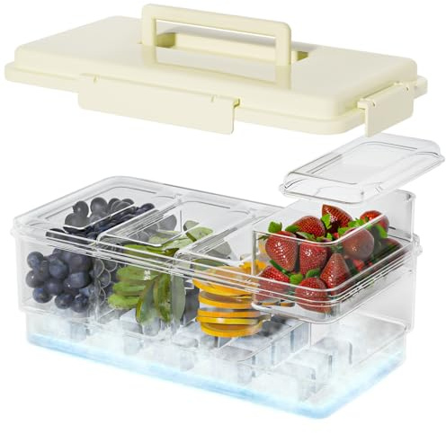 TERGOO Ice Chilled Condiment Caddy with 20 Reusable Ice Cubes, Thickened Condiment Server Tray with Lid for 4 Removable Trays, Portable Snackle Box Container for Bar, Fruit, Salad, Taco, Party Garnish