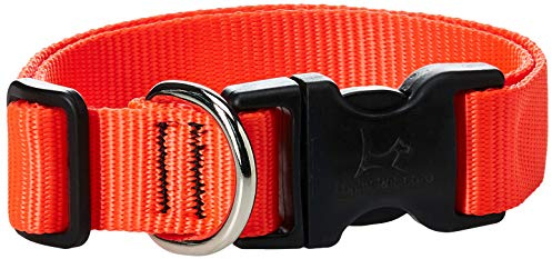 LupinePet Basics 1 Blaze Orange 12-20 Adjustable Collar for Medium and Larger Dogs