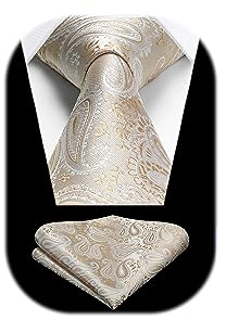 HISDERN Herren Krawatte Hochzeit Beige Paisley Krawatten Taschentuch Blumen Elegant Klassisch Krawatte & Einstecktuch Set