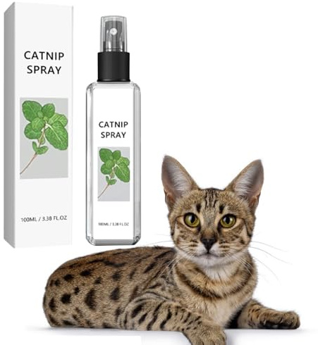 Erba Gatta Spray per Gatti e Gattini - Nebulizzazione Trasparente per il Comportamento, Gioia e Benessere dei Felini - 100ml