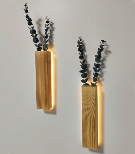HanYun Lot de 2 vases mural en bois avec lumières LED pour plantes d'intérieur - Eucalyptus artificiel - Décoration mural - Plantes vertes