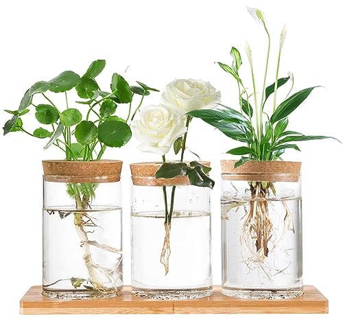 Hniuyun Propagation Stations, Desktop Plant Terrarium with Wooden Tray & Lid for Propagating Hydroponic Plants Centerpiece Office Home Decor, 3 Pcs