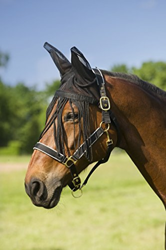 EKKIA FLY MASK W/FLY FRINGE F/S BK 306742002 306742002
