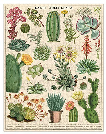 Cavallini Papers & Co. PZL/SUC Puzzle 1 000 pièces Motif Cactus et Plantes Grasses Multicolore 1000 pièces