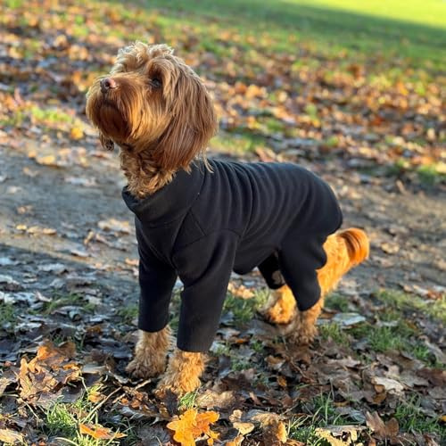 Warm Four-Legged Dog Fleece – Super Soft, Weather-Resistant, Available in a Range of Sizes and Colours (Black, Small)