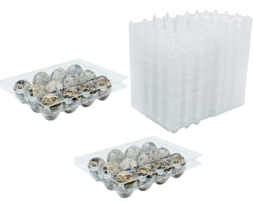 RECHCIGA Lot de 50 boîtes à œufs de caille à 12 grilles en PVC transparent réutilisable avec couvercle pour œufs de caille de caille au réfrigérateur
