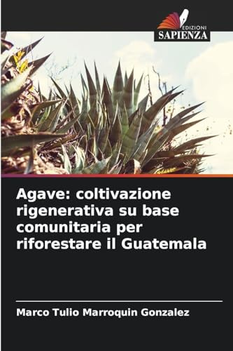 Agave: coltivazione rigenerativa su base comunitaria per riforestare il Guatemala