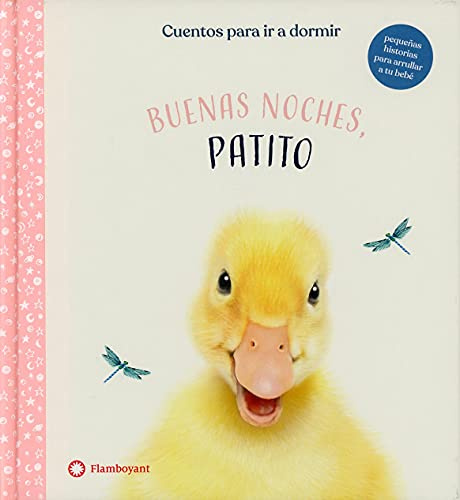 Buenas Noches, Patito (Cuentos De Animales, Cuentos para Leer En voz alta, Cuentos de buenas Noches): 2 (Cuentos para ir a dormir)