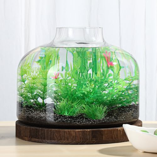 PONDON 2 Gallon Fish Bowl Vase, Glass Plant Terrarium Kit, Complete with Wooden Base and Water Changer