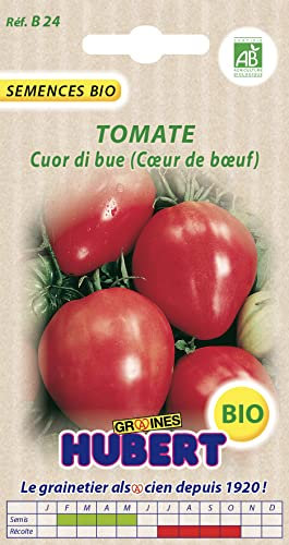 30 Graines de Tomate Cuor di bue - Coeur de boeuf BIO