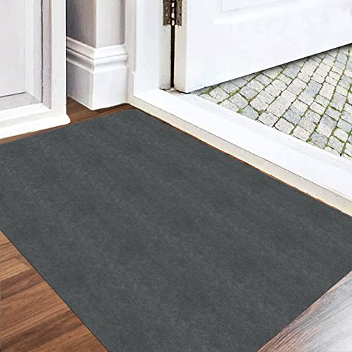 Ultra Thin Indoor Doormat, Washable Dirt Trapper Mat, Low Profile Entrance Durable door mat, Absorbent Kitchen Runner, Non-Slip (Dark Grey,36X59)