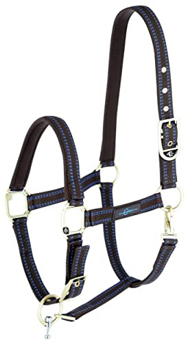 Horse Halter for Goleygo System, Brown/Light Blue, Cob