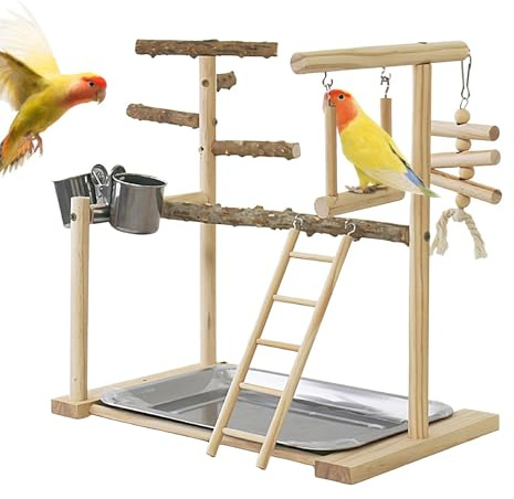 Parco giochi per pappagalli,Palestra per giochi per pappagalli, Scaletta Cockatiel con vassoio e tazze, Giochi per uccelli, posatoi per uccelli, palestra per esercizi per calopsitte, pappagalli, parro