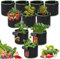 Lotvic 10 Piezas Bolsas de Cultivo Plantas, 3 Galones Bolsa de Cultivo, Bag de Plantación, Saco para Plantas, Bag de Siembra no Tejida para Papas Tomates Fresas