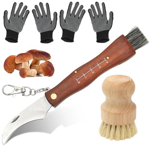 LOMUG Couteau à Champignons avec une Brosse, Couteau Mycologique Pliant, avec Brosse à Champignons en Bois, Poils de Sanglier