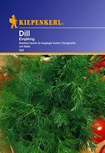 Kiepenkerl Dill Samen Einjährig 562 - Beliebtes Gewürz für Gurken, Fisch & Salate - Essbare Blüten zur Deko - Samen Gemüse, Kräutersamen für den Garten, Dillsamen für 200 Pflanzen