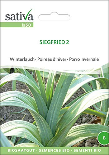 Sativa Rheinau la50 Winterlauch Siegfried 2 (Bio-Lauchsamen)