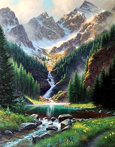 Maysurban Peinture par Numero Adulte DIY Kit de Peinture à l'huile de Bricolage Paint by Numbers Peindre par Nombre Kits sans Cadre 40x50cm