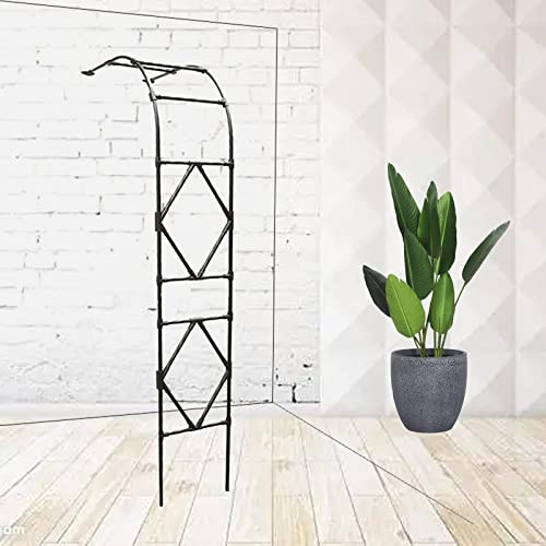 Utomhus metall trädgårdsbåge för klätterväxter väderbeständig spaljé väggmonterad halvbåge 90 cm B x 240 cm H svart – perfekt för rosor och vinstockar