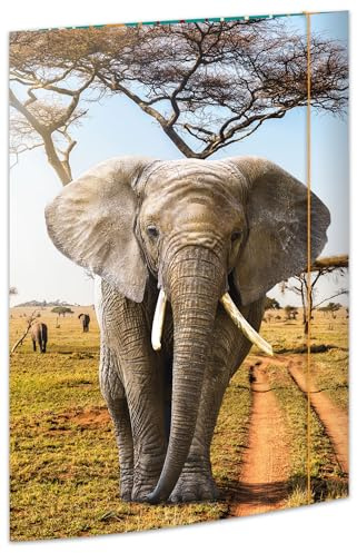 RNKVERLAG 45377 Dossier de dessin éléphant 310 x 440 mm Dossier pour documents DIN A3 avec fermeture élastique 1 pièce