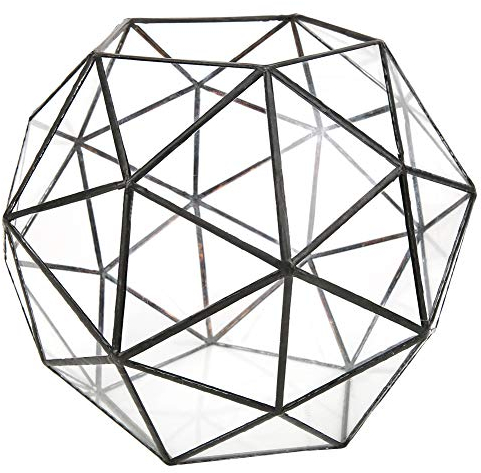 Mokernali Robustes Terrarium Mit Einzigartigem Design – Perfekt Für Sukkulenten, Farne Und Kakteen