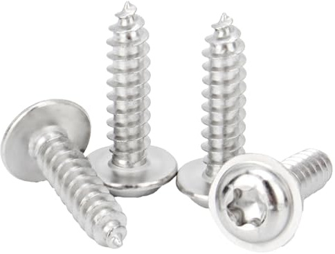 QANCEN 50 Stück M4x20 mm Torx Tellerkopf Holzschrauben, Edelstahl Blechschrauben mit Flachkopf und Scheibe, A2 V2A Rostfrei, Selbstschneidend, Vollgewinde Schrauben