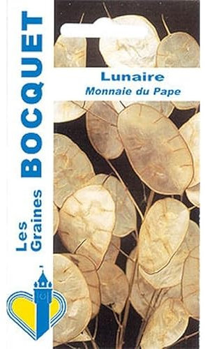Sachet de graines de Lunaire Monnaie du Pape - 2 g - fleur bisannuelle - LES GRAINES BOCQUET