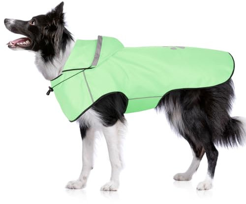 BiPawTi Verstellbar Regenmantel Hund Wasserdicht – Hunde-Regenjacke Reflektierenden Kapuze mit Verstellbarer Kordelzug, Ultraleicht Bequem Hunderegenmantel für Trockene, Sichere Gassigänge (M | Mint)